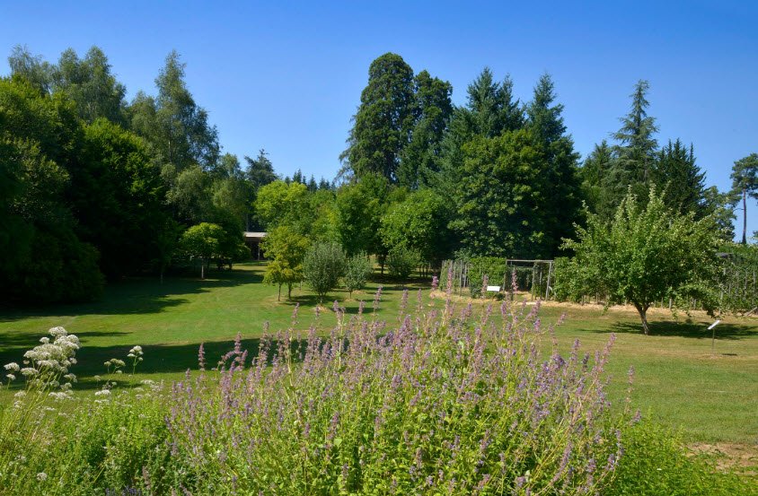La Plantelière, Arpajon-sur-Cère, France, France